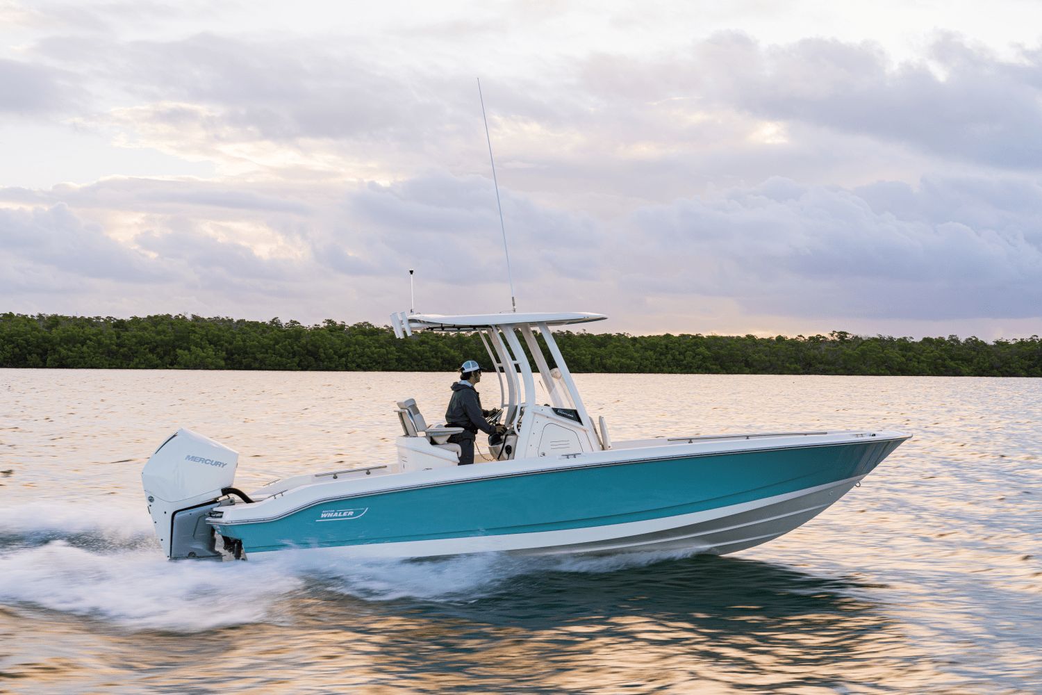 2026 Boston Whaler 250 Dauntless - 33