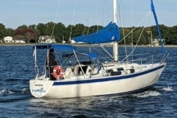 1982 San Juan