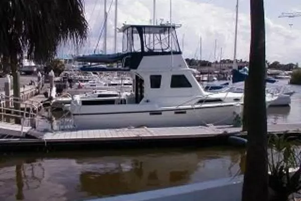 1995 Fayne Limbo Boat Corp 40