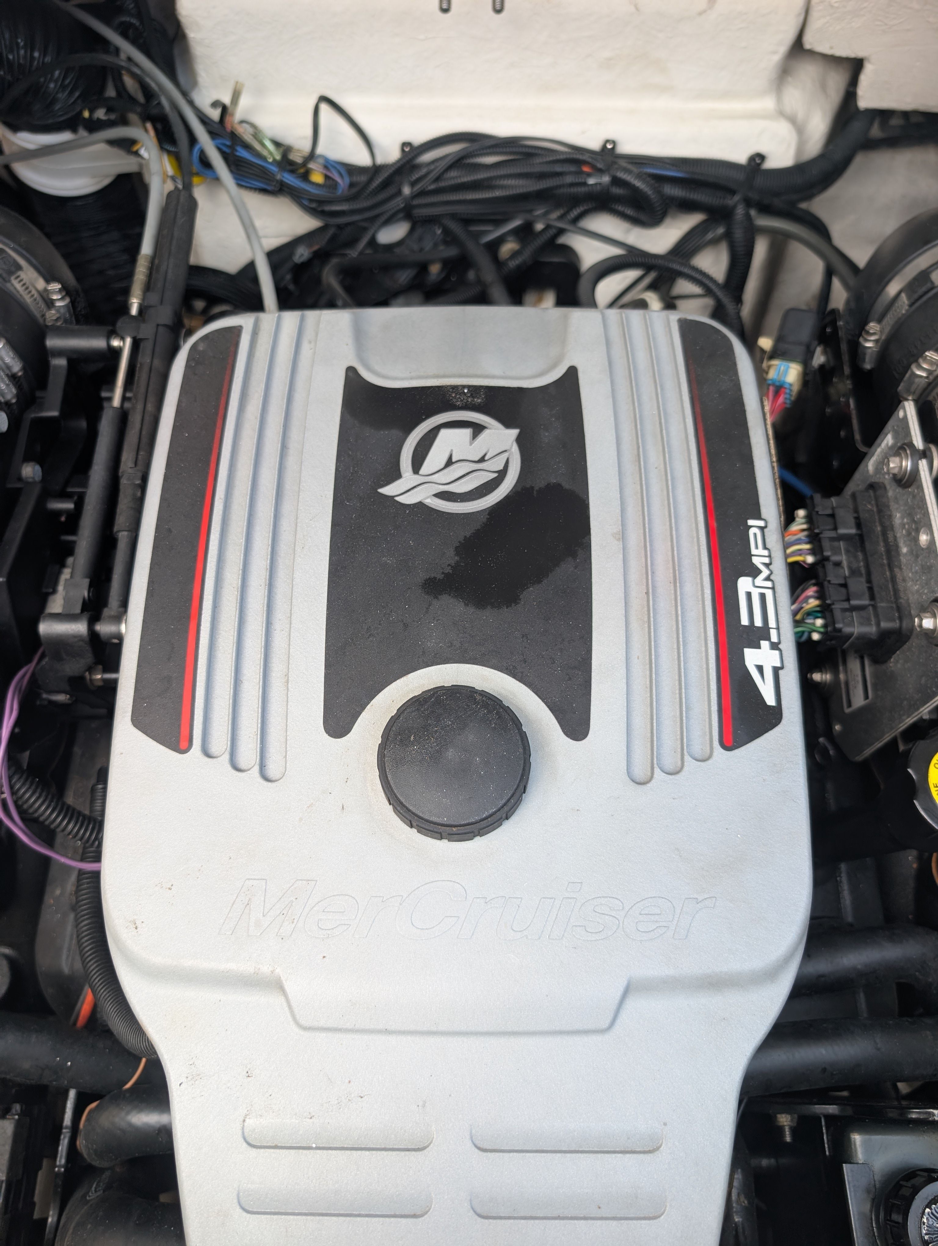2016 SEA RAY 190 SPX - Image 26