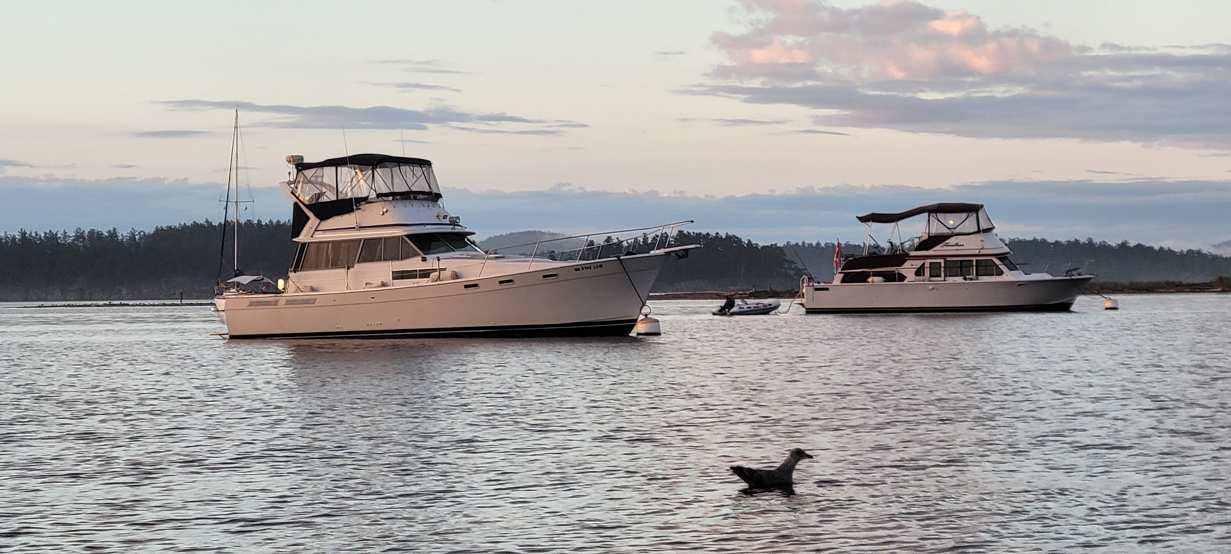 Two 1984 Bayliner 3870 Motoryachts on calm water at sunset.