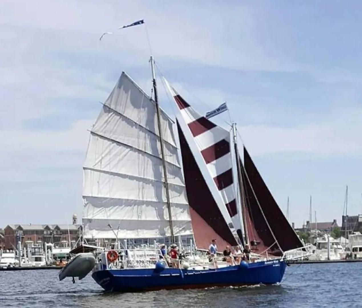 1979 Colvin Gazelle Gazelle - Image 2