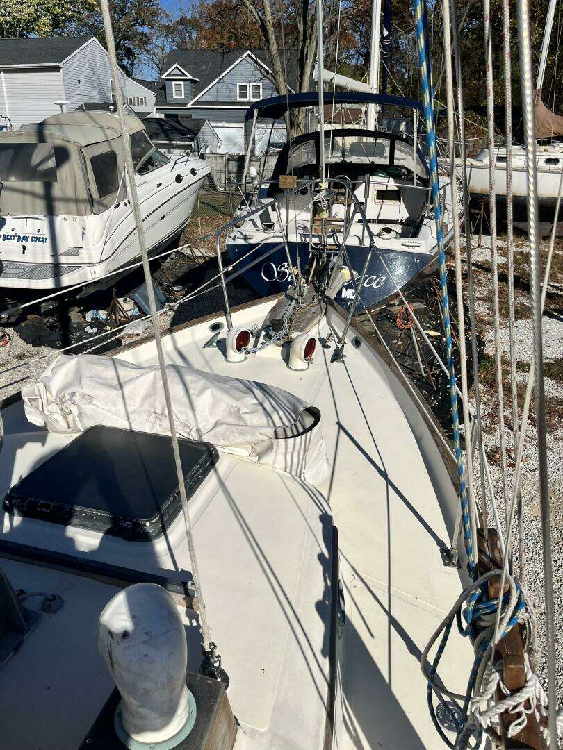 1980 Southern Cross — - Image 3