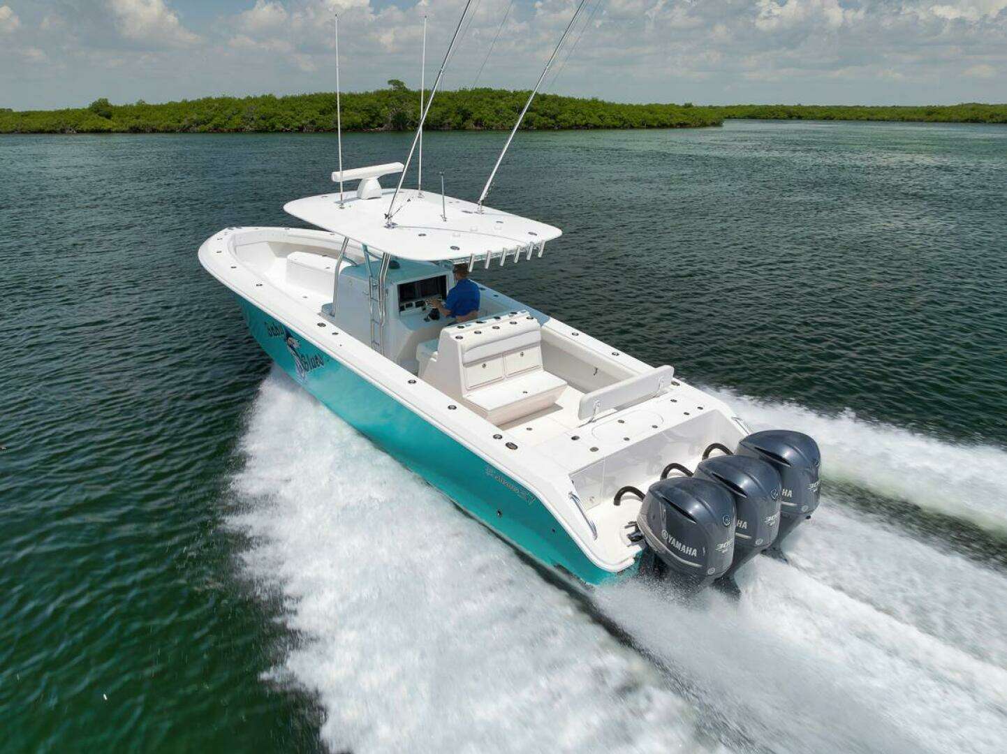 2013 Bahama — - Image 6