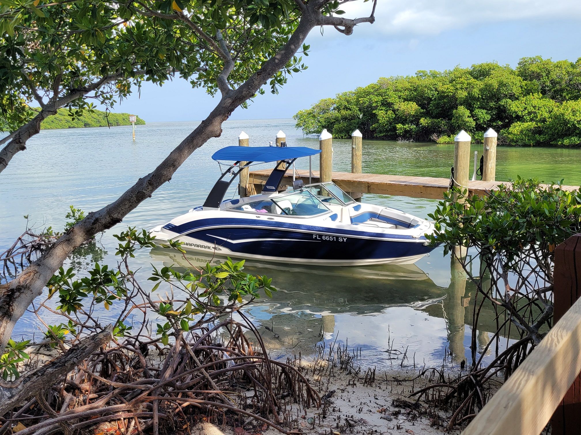 2015 Chaparral 203VR boat docked, surrounded by mangroves.