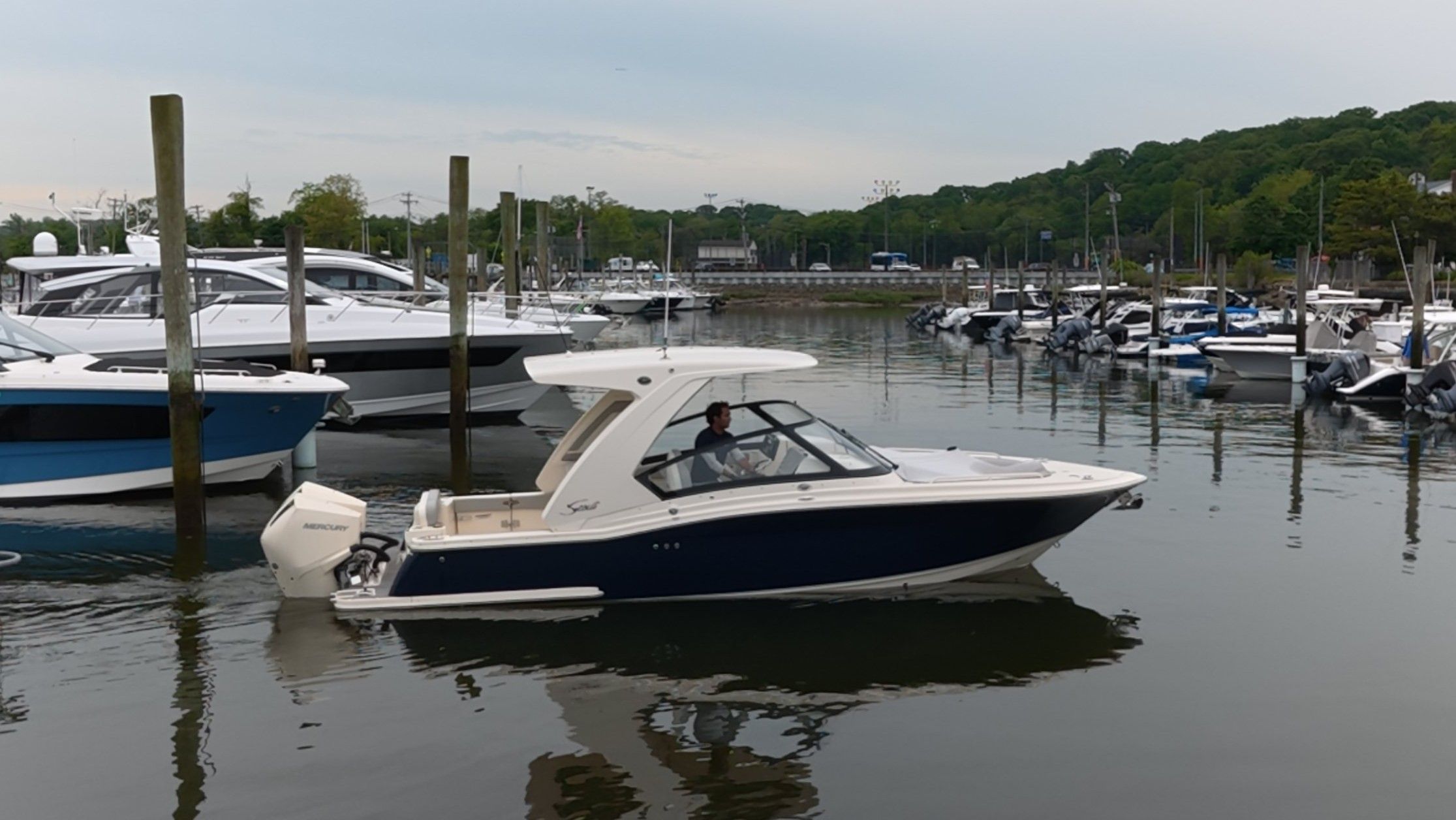 2025 Scout 277 Dorado