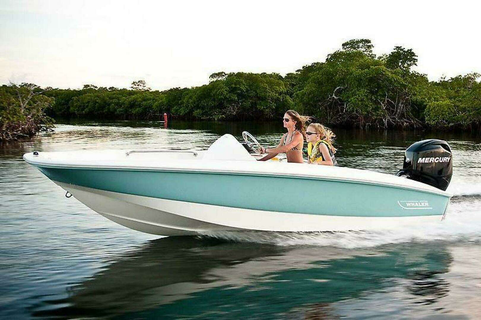 2018 Boston Whaler 150 Super Sport - Image 28