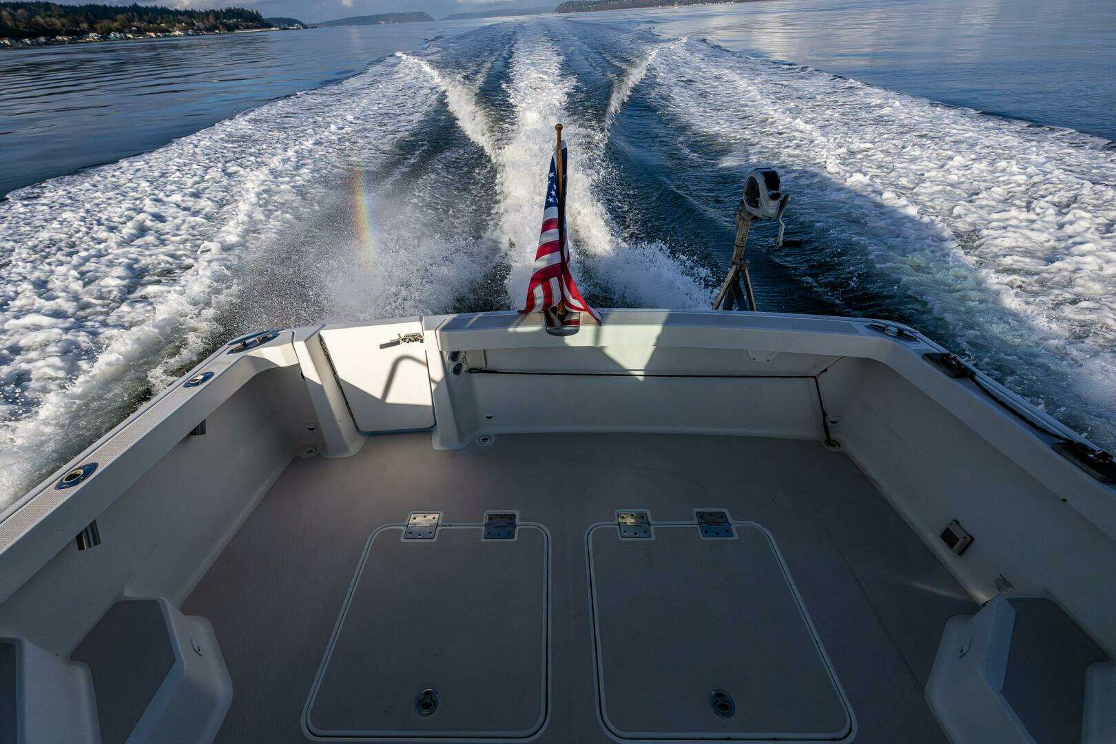 2008 Back Cove 33 - Image 34