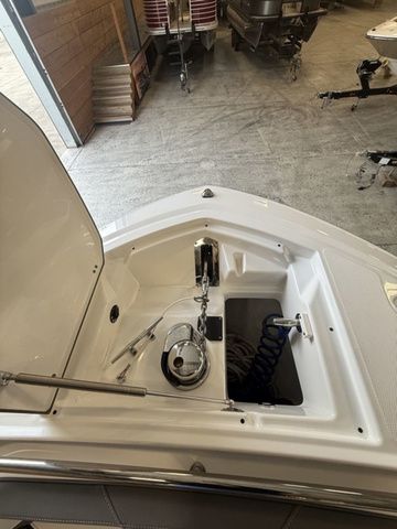 2019 Blackfin 242CC - 5