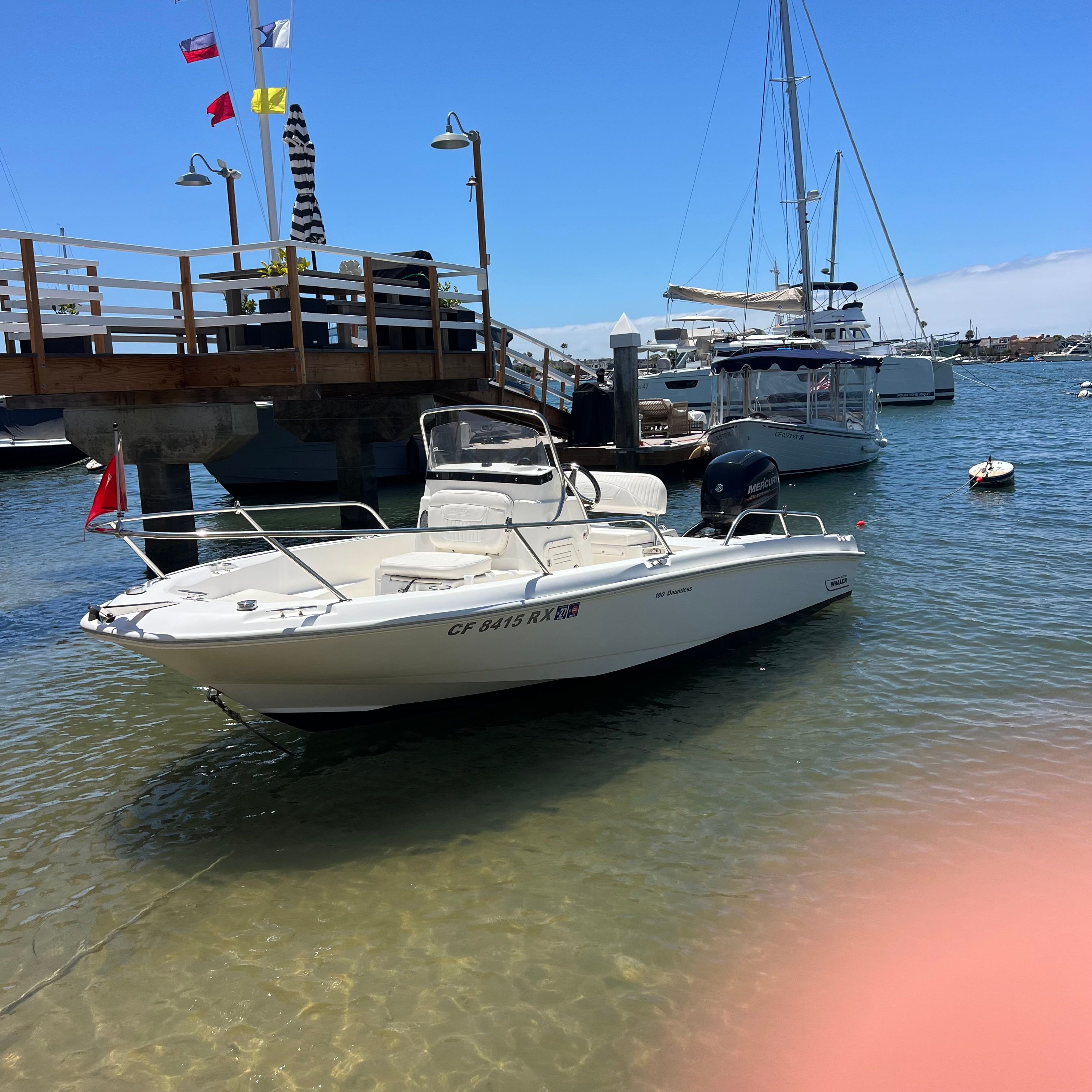 2016 Boston Whaler 180 Dauntless - 3