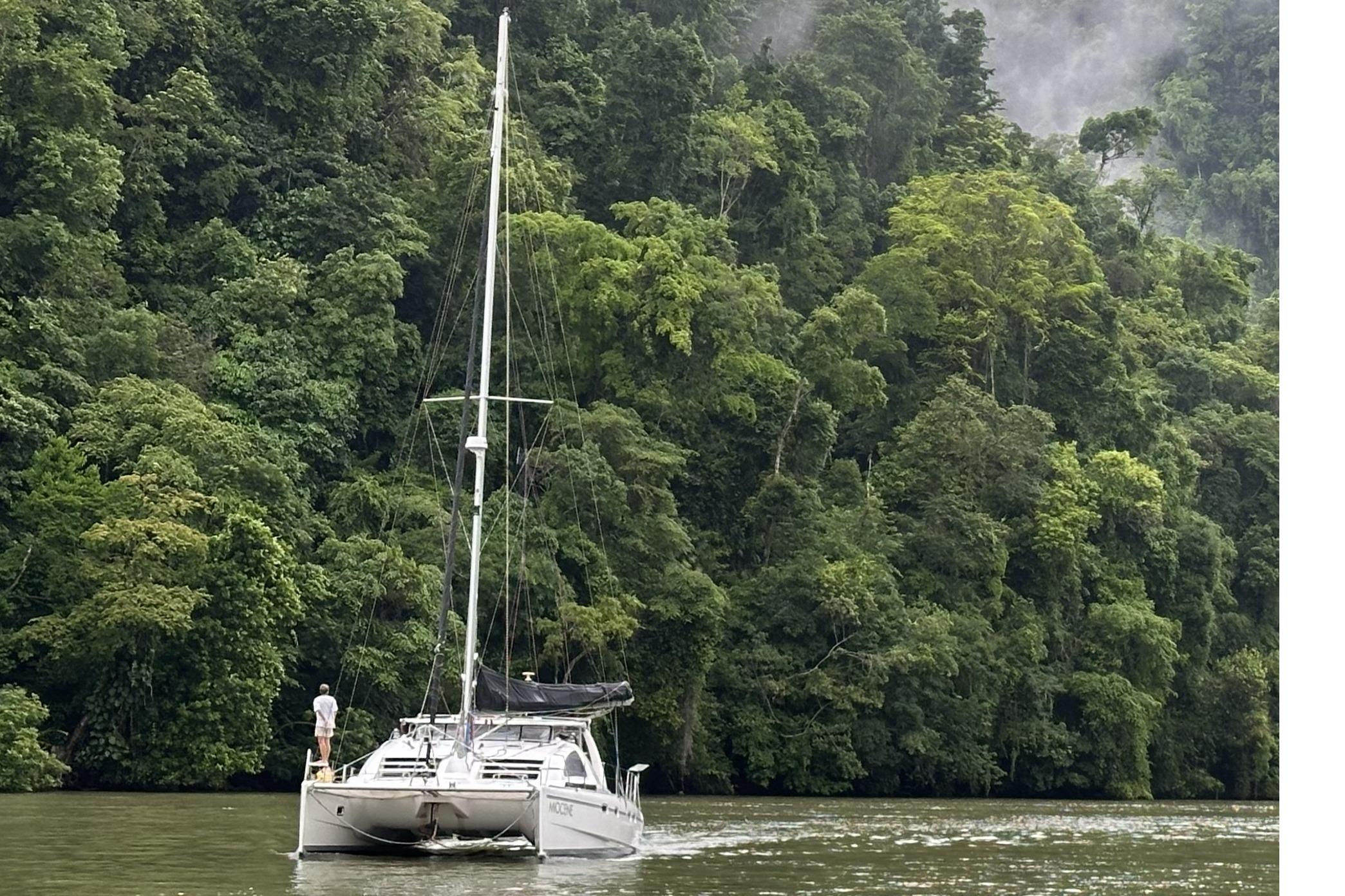 Sailing catamaran Leopard by Robertson & Caine, 2001, navigating lush tropical waters.