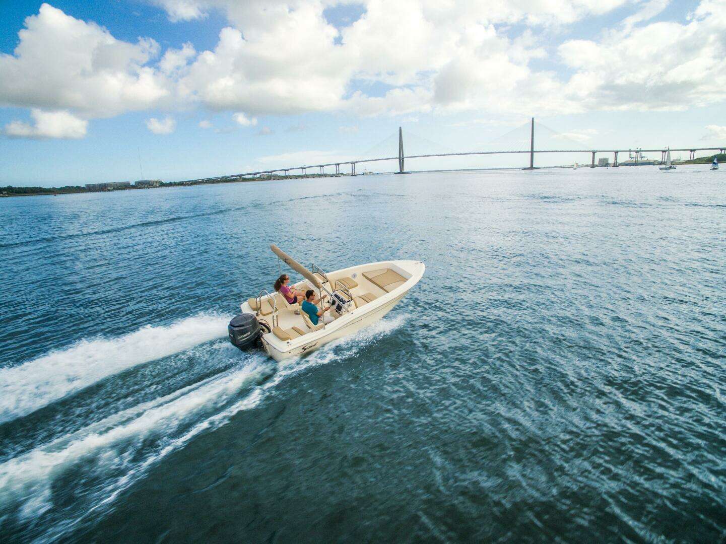 2026 Scout 175 Sport Dorado - Image 2