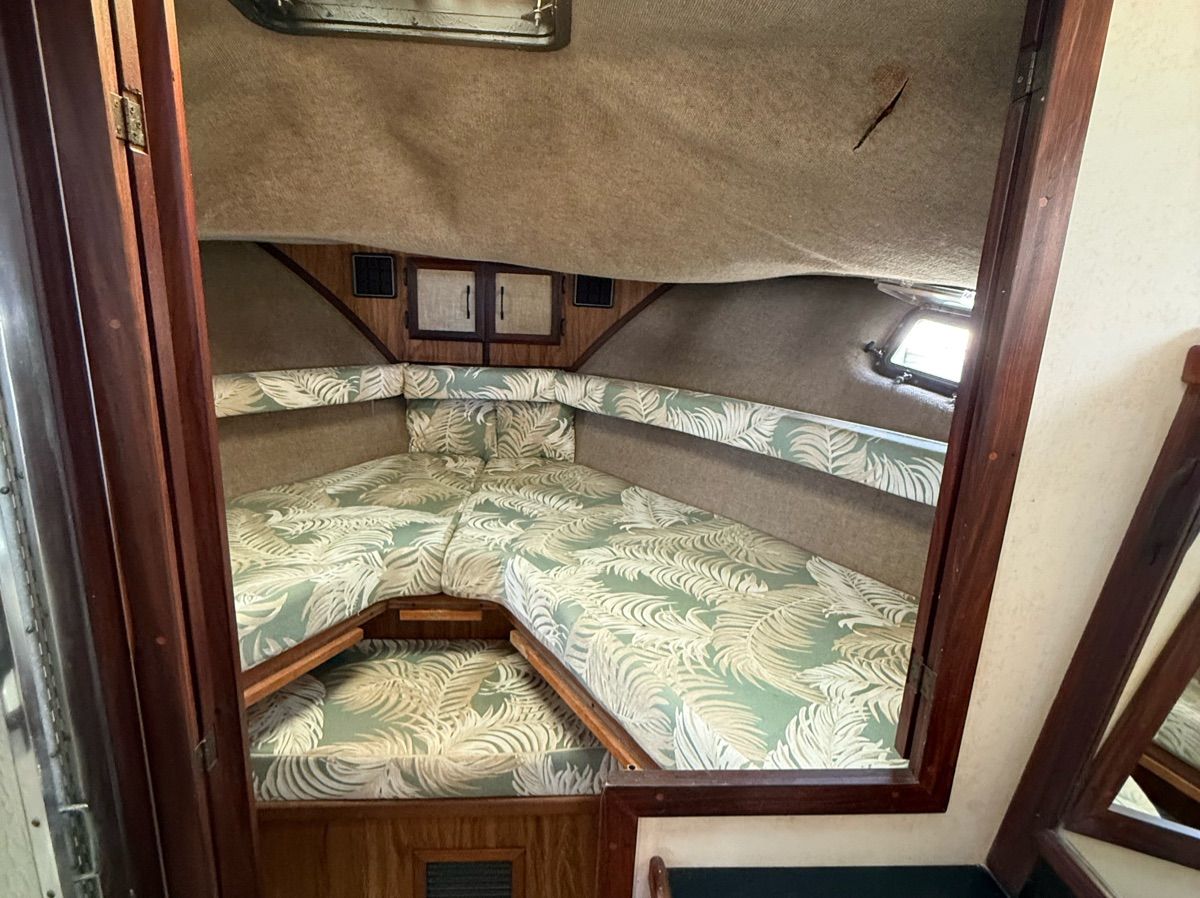 1982 Carver 36 Aft cabin Moter yacht - 5
