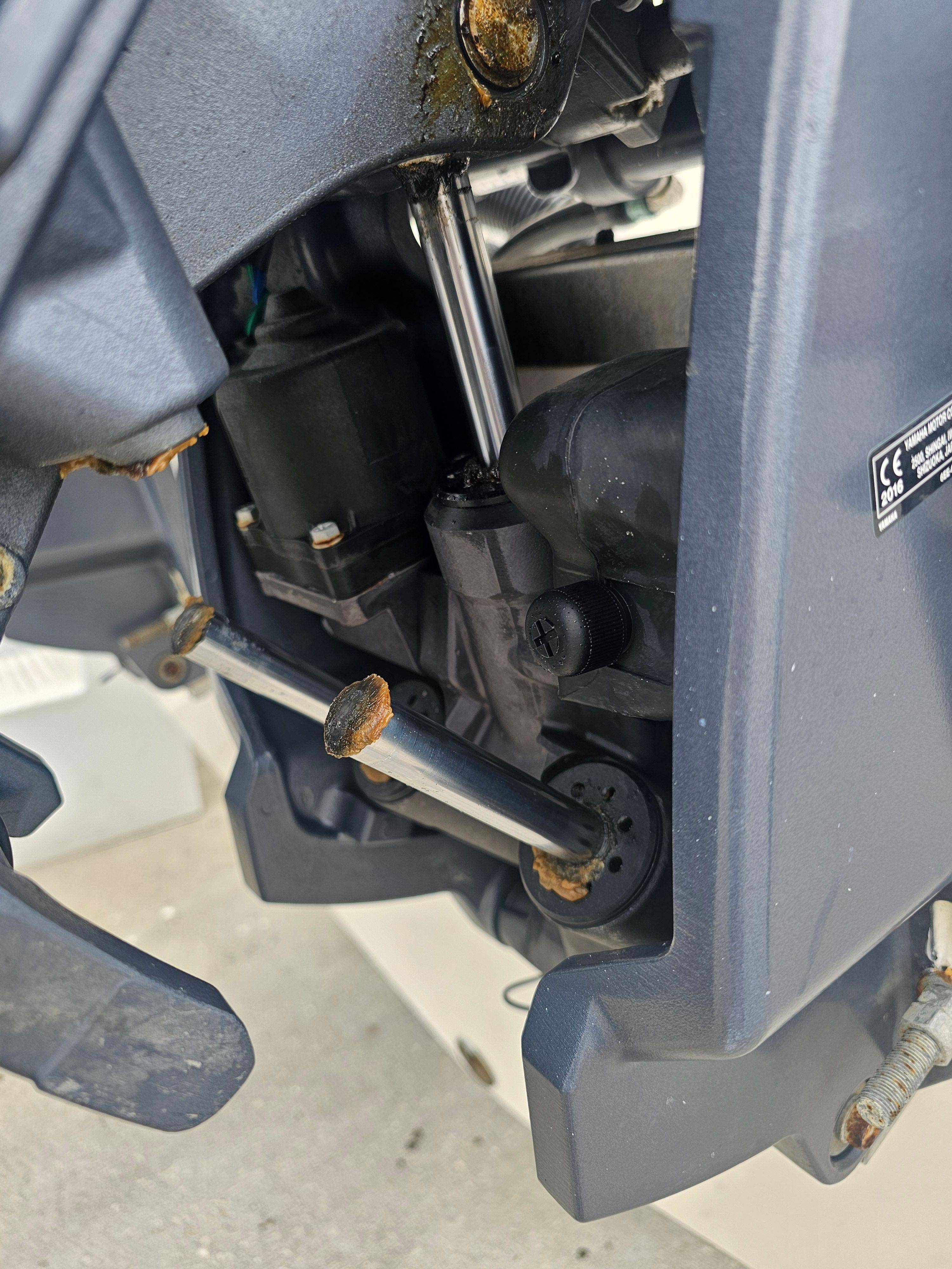 2017 Robalo R265 Walkaround - 59