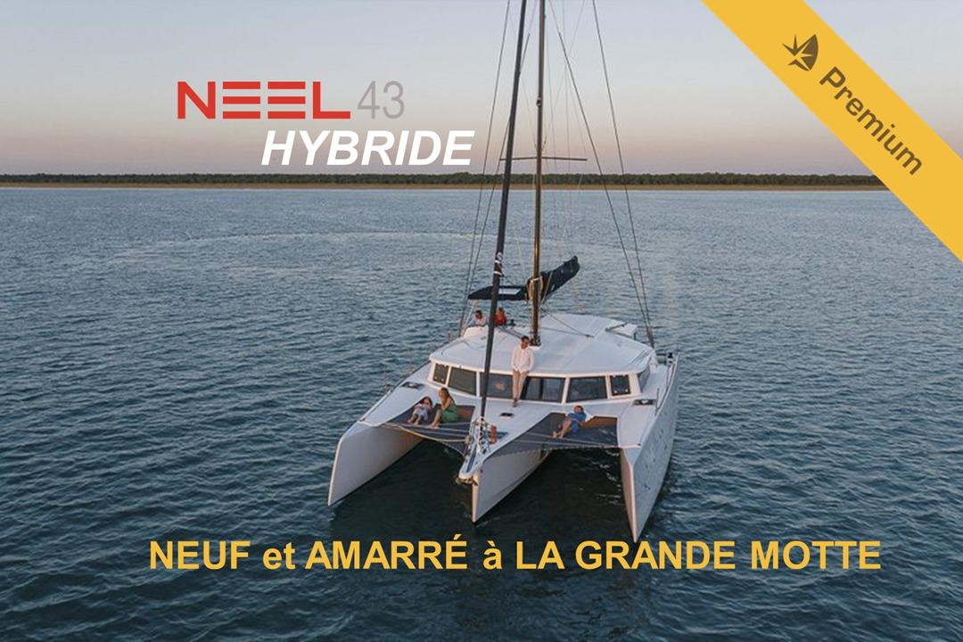 2022 NEEL 43