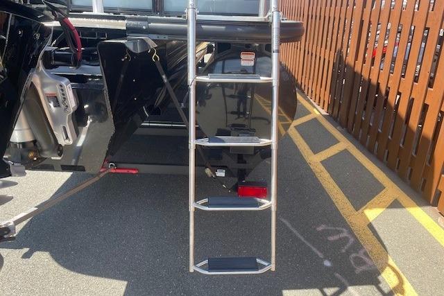 Rear view of 2026 Regency 250 DL boat with ladder and motor.