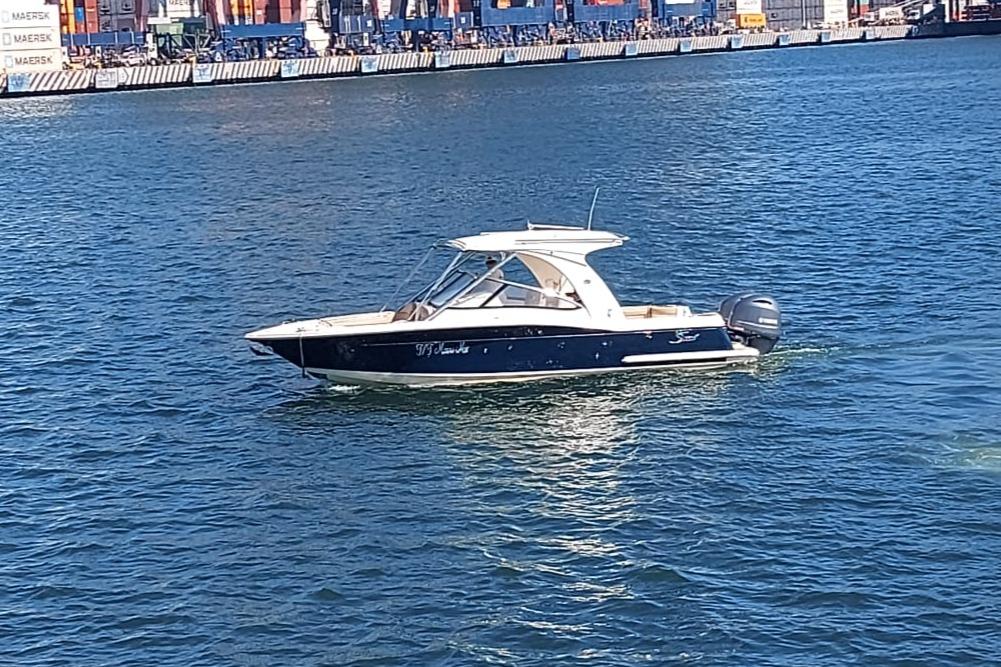 2015 Scout 275 Dorado