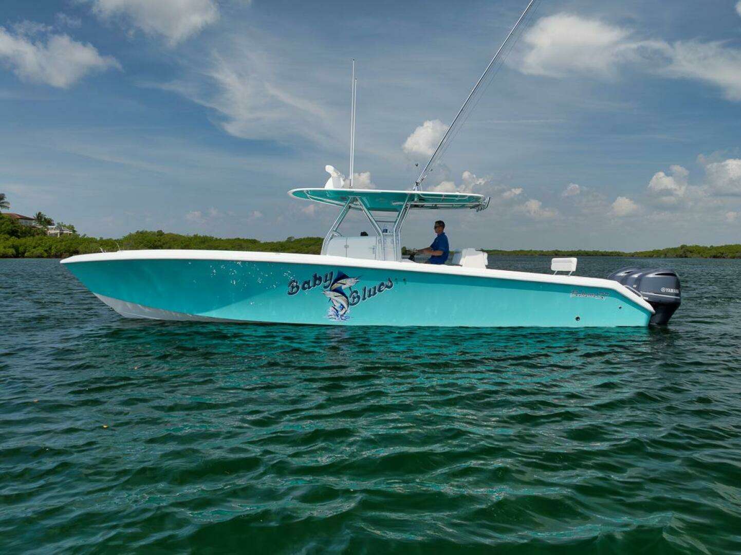 2013 Bahama — - Image 18
