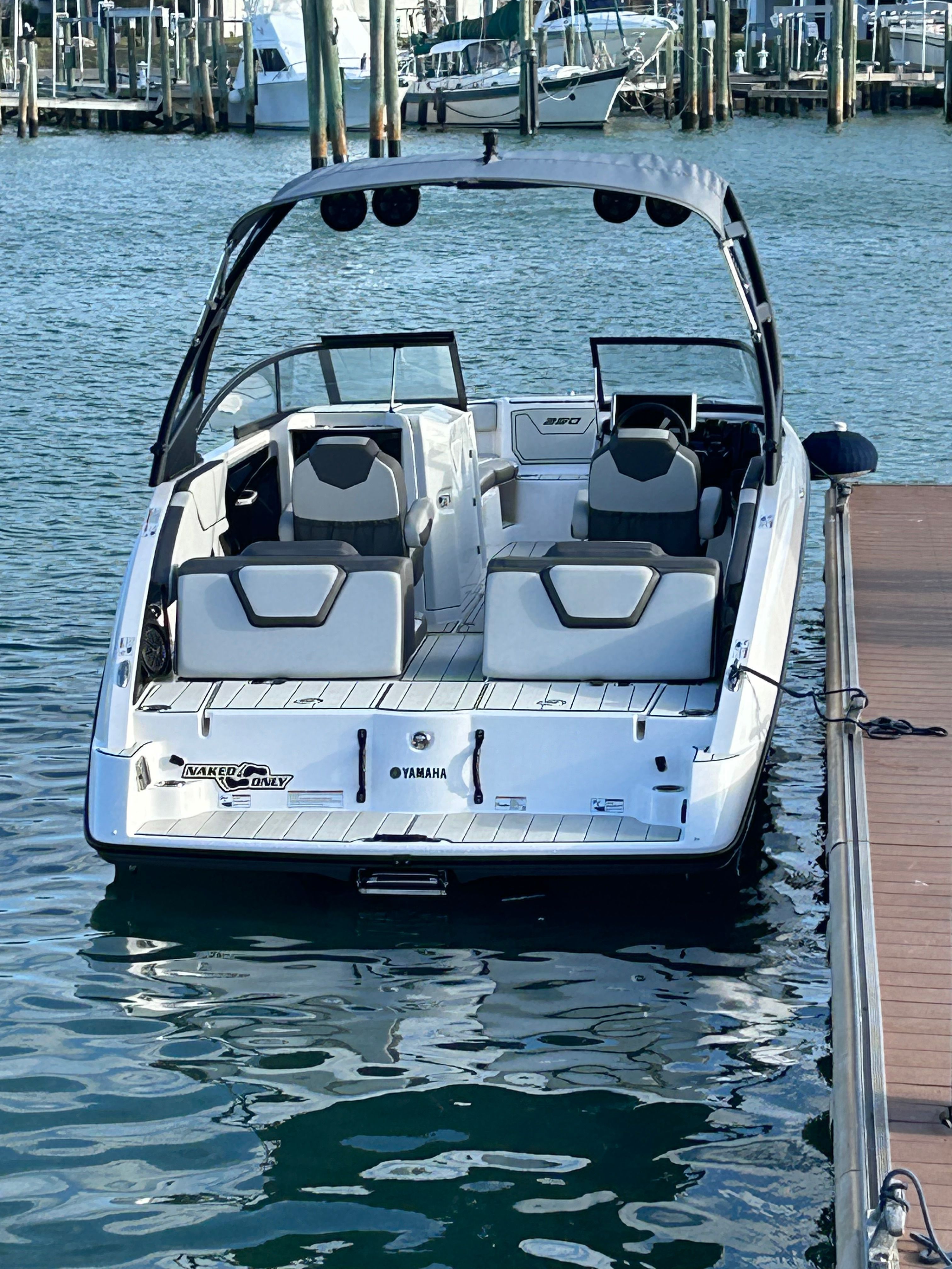 2022 Yamaha Boats AR250 - 5
