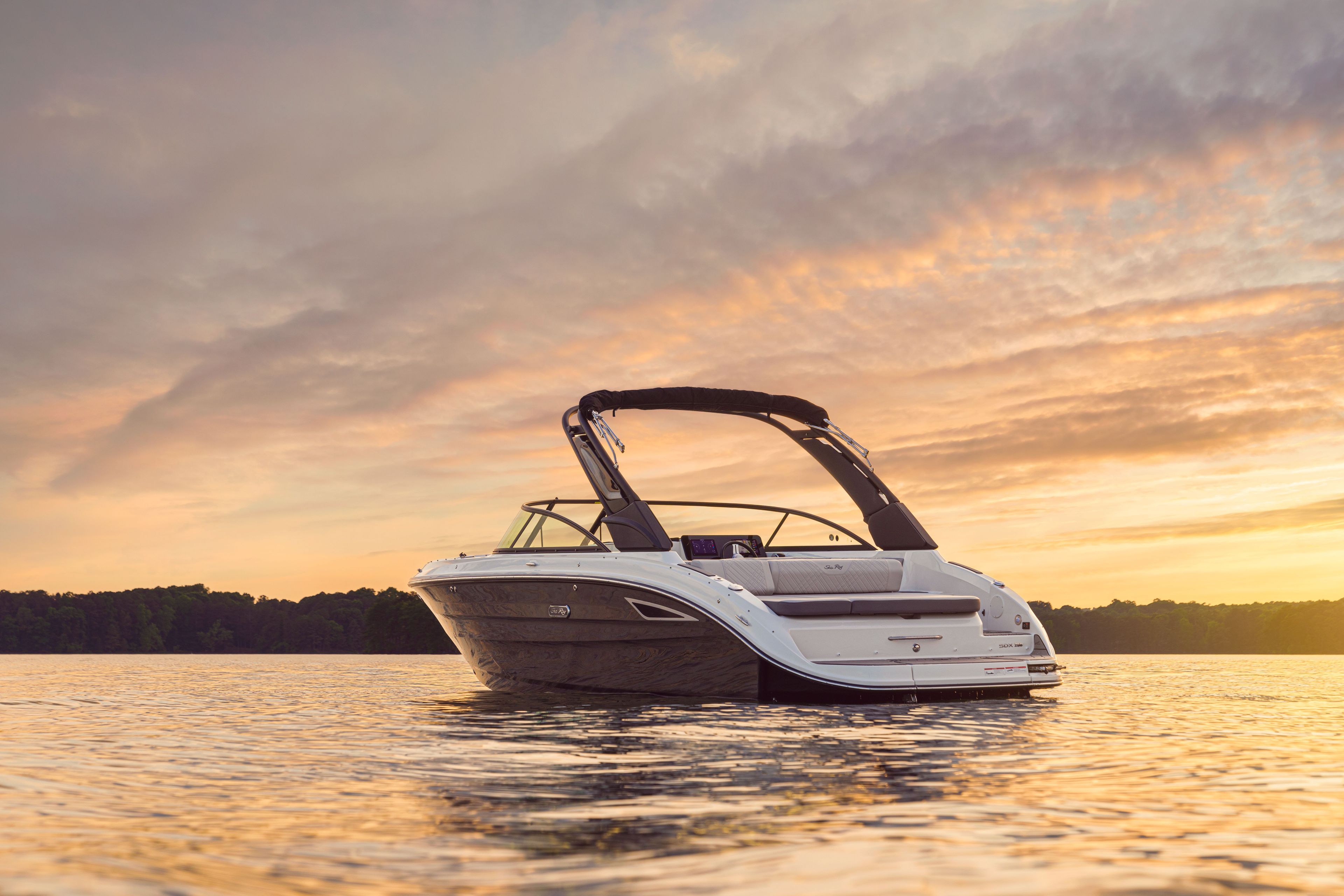 2026 Sea Ray SDX 250 - 12