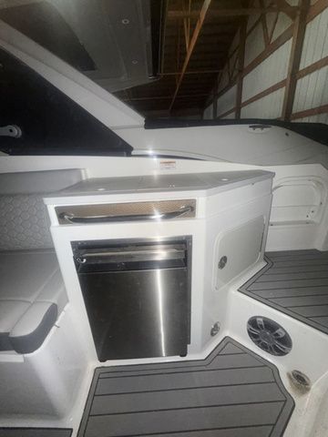 2025 Sea Ray SDX 290 - 17
