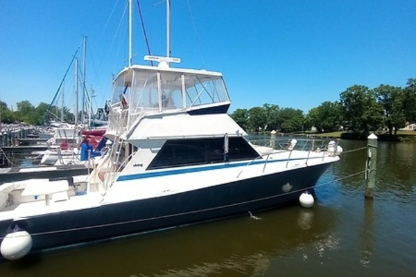 1987 Viking Convertible