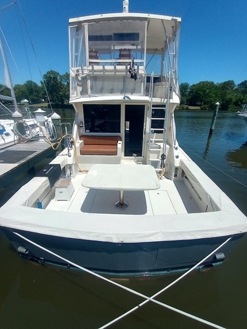 1987 Viking Convertible - Image 5