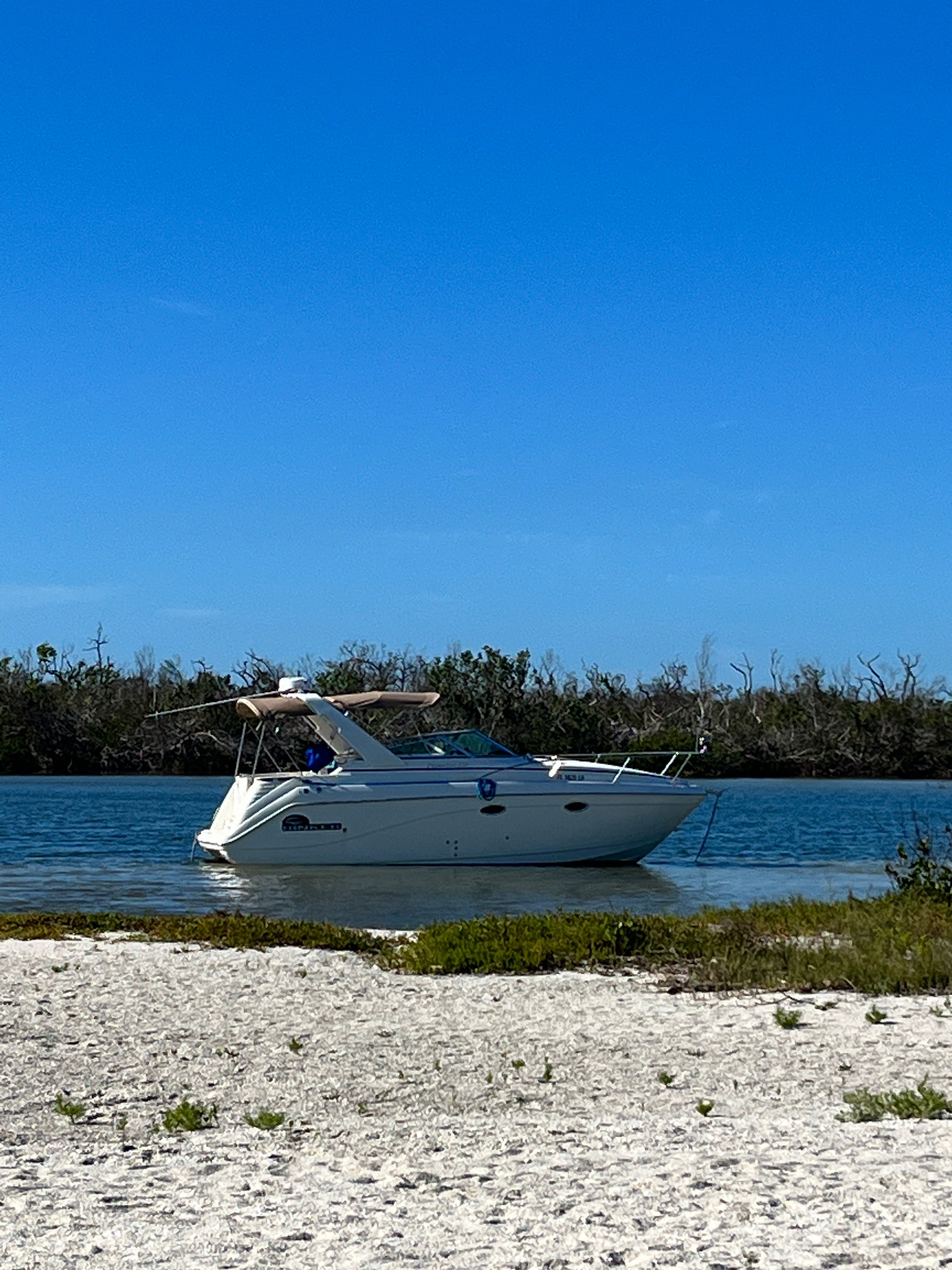 2000 Rinker Fiesta Vee 270 - 3