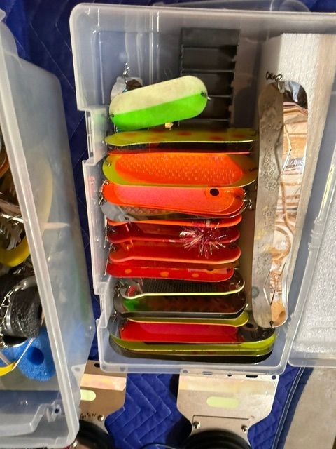A container with colorful fishing lures in various shapes and sizes.