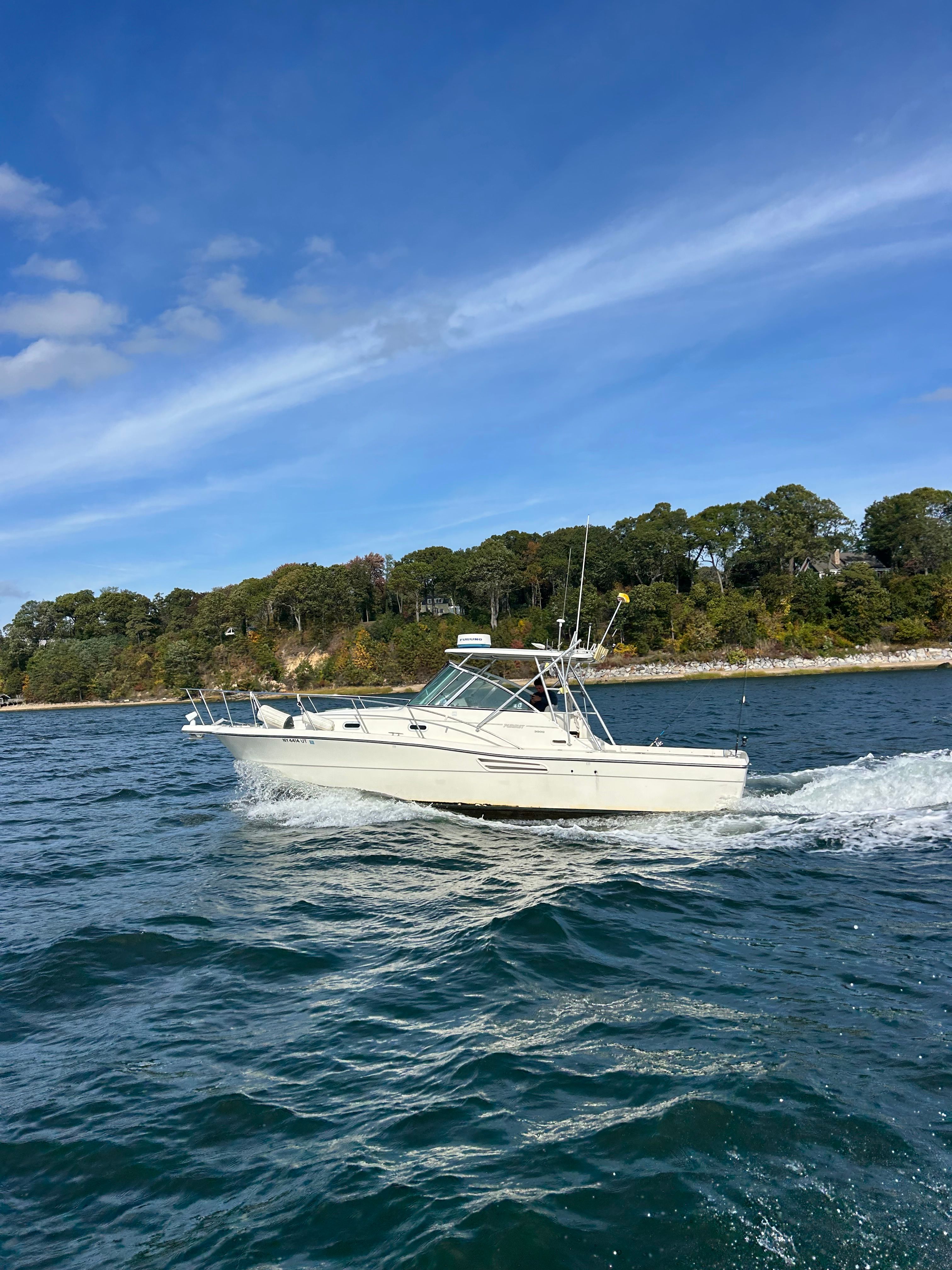 2001 Pursuit 3000 Express - 2