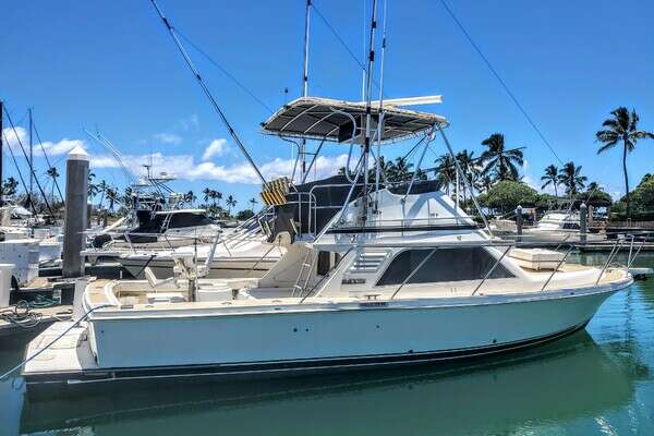1992 Blackfin Flybridge