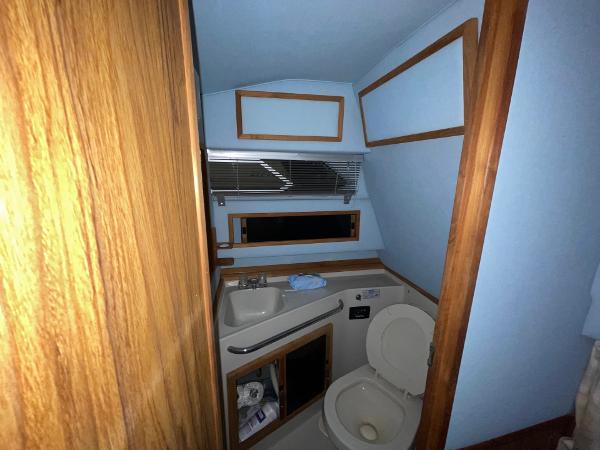 1988 Sea Ray 268 Express Cruiser - 19