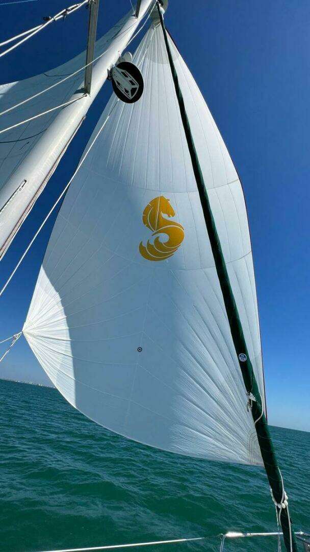 2007 Beneteau 343 - Image 15