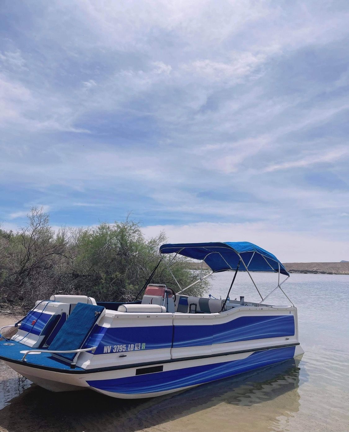 1992 Ozark 22’ Deck Boat - 2