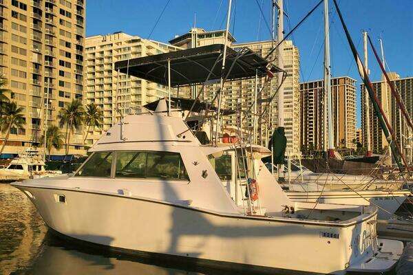 1979 Bertram 38 Convertible Sportfisher