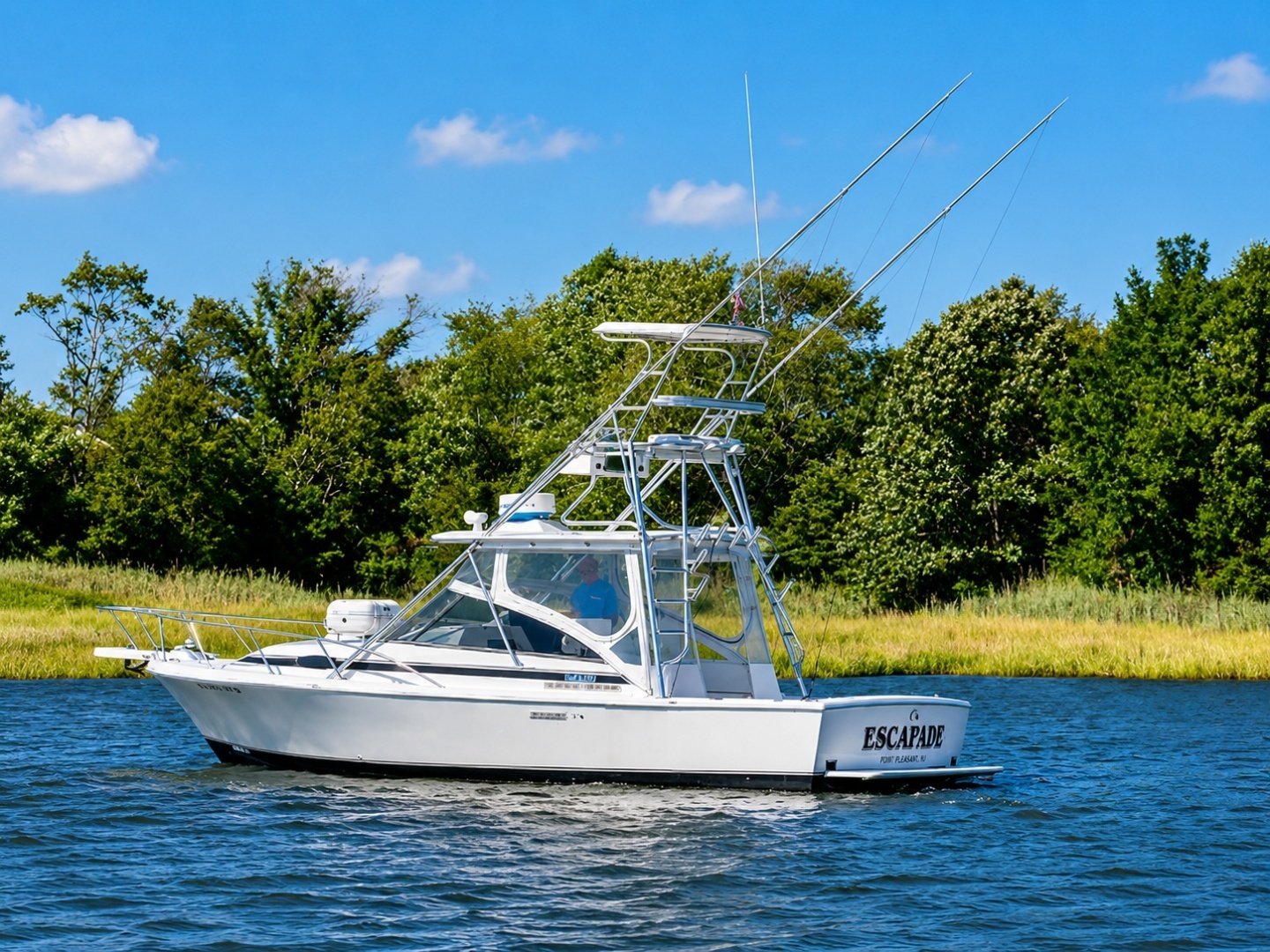1997 Blackfin 29 Combi - Image 5
