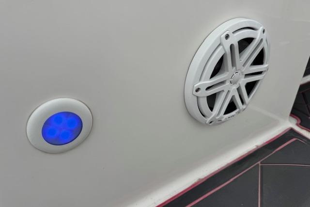 Speaker and blue LED light on 2015 Robalo 226 Cayman boat.