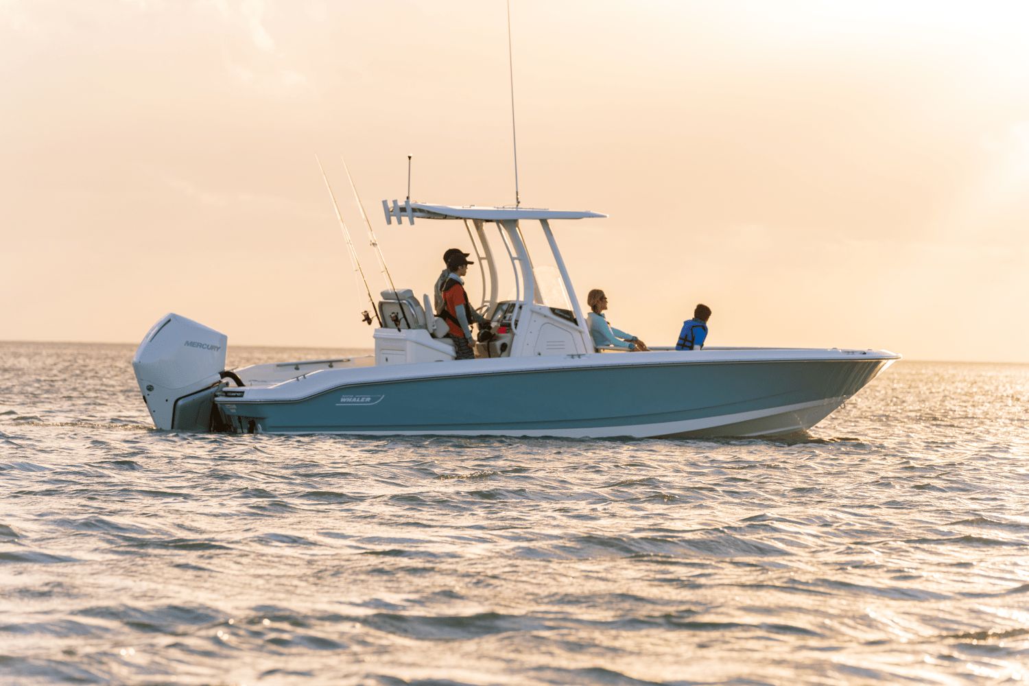 2026 Boston Whaler 250 Dauntless - 5