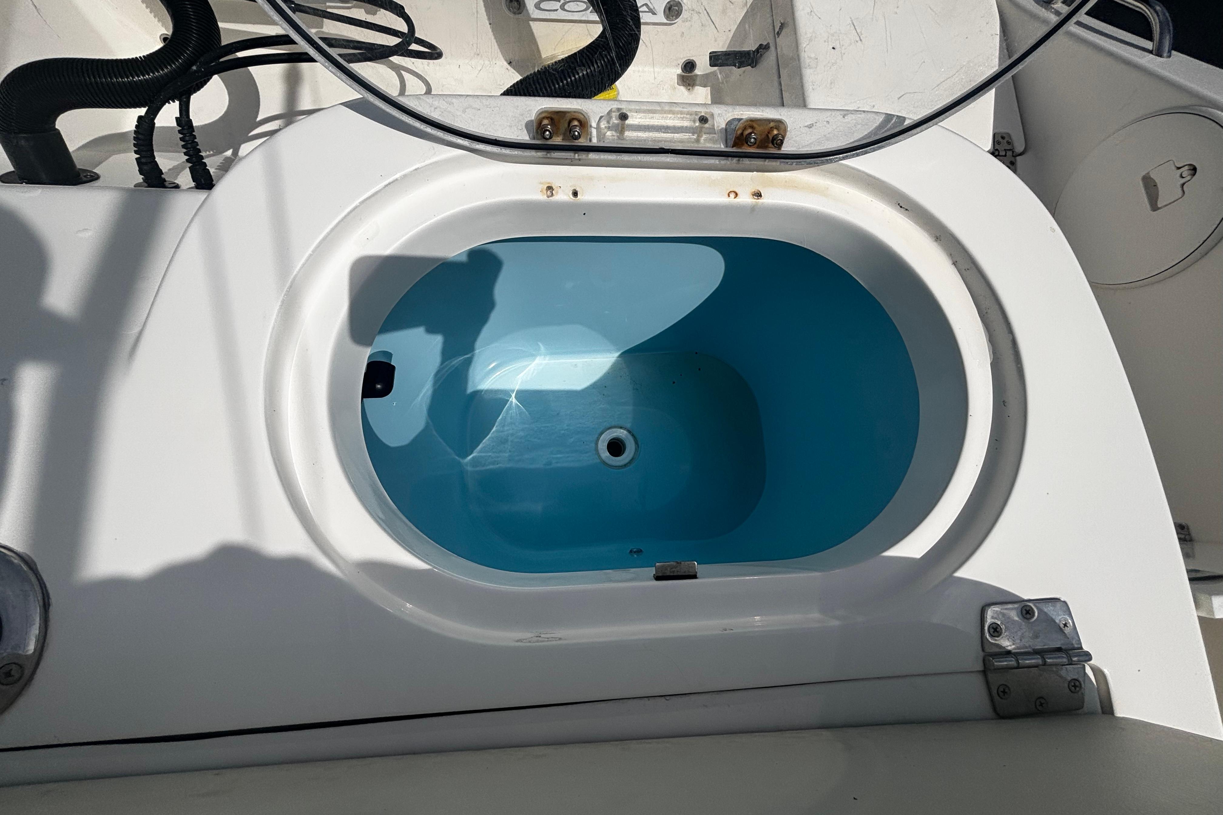 Livewell on 2023 Cobia 262 Center Console boat, featuring a blue interior.