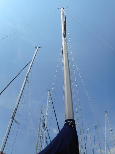 Masts of several sailboats rise into the blue sky.