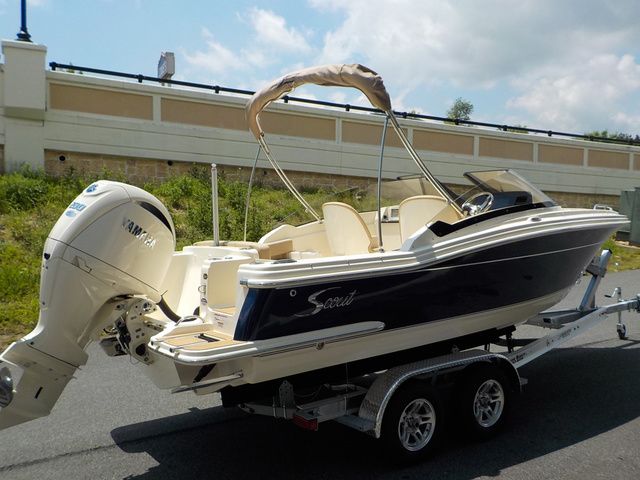 2025 Scout Dorado 215