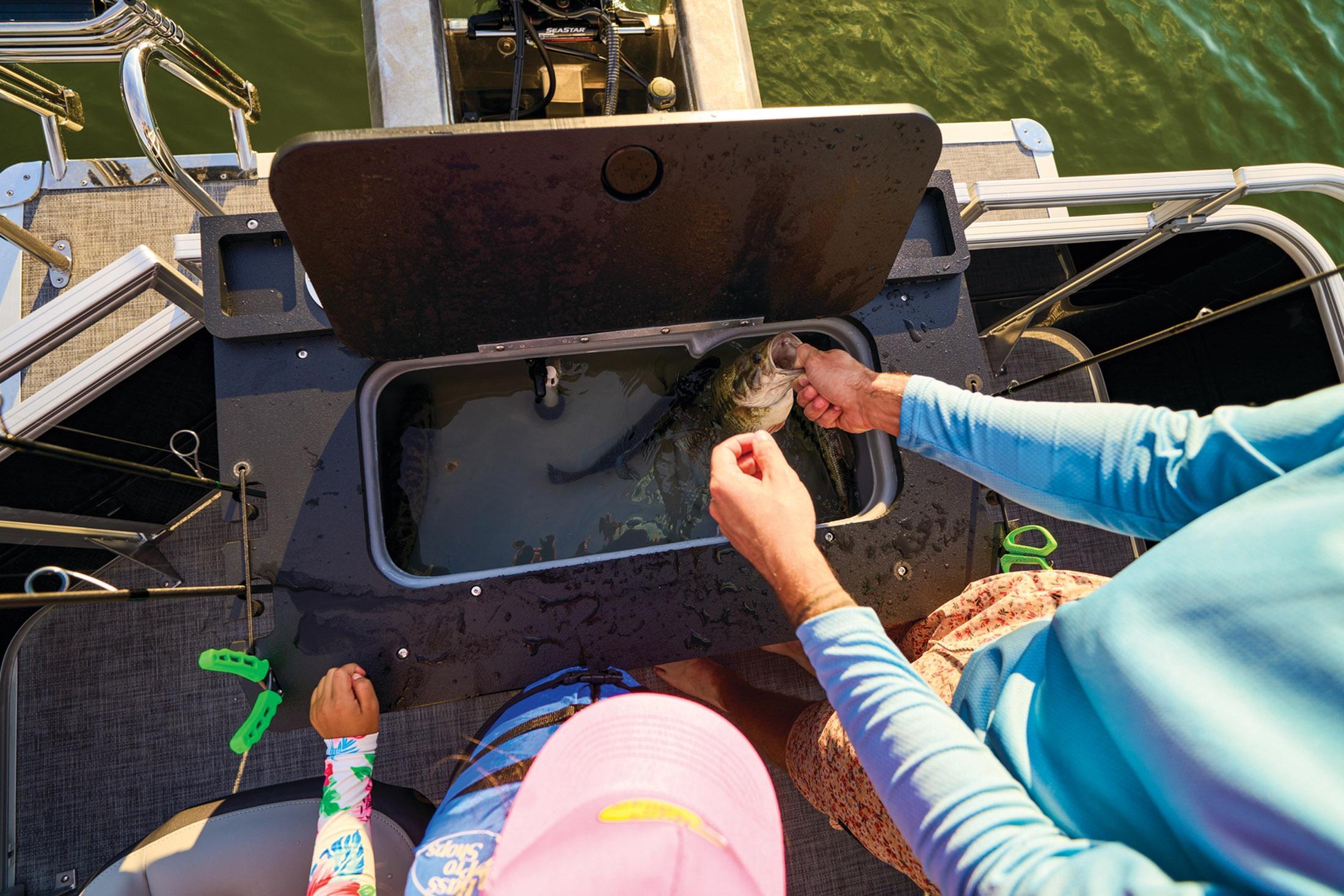 2026 Sun Tracker Sportfish 24 XP3 - 11