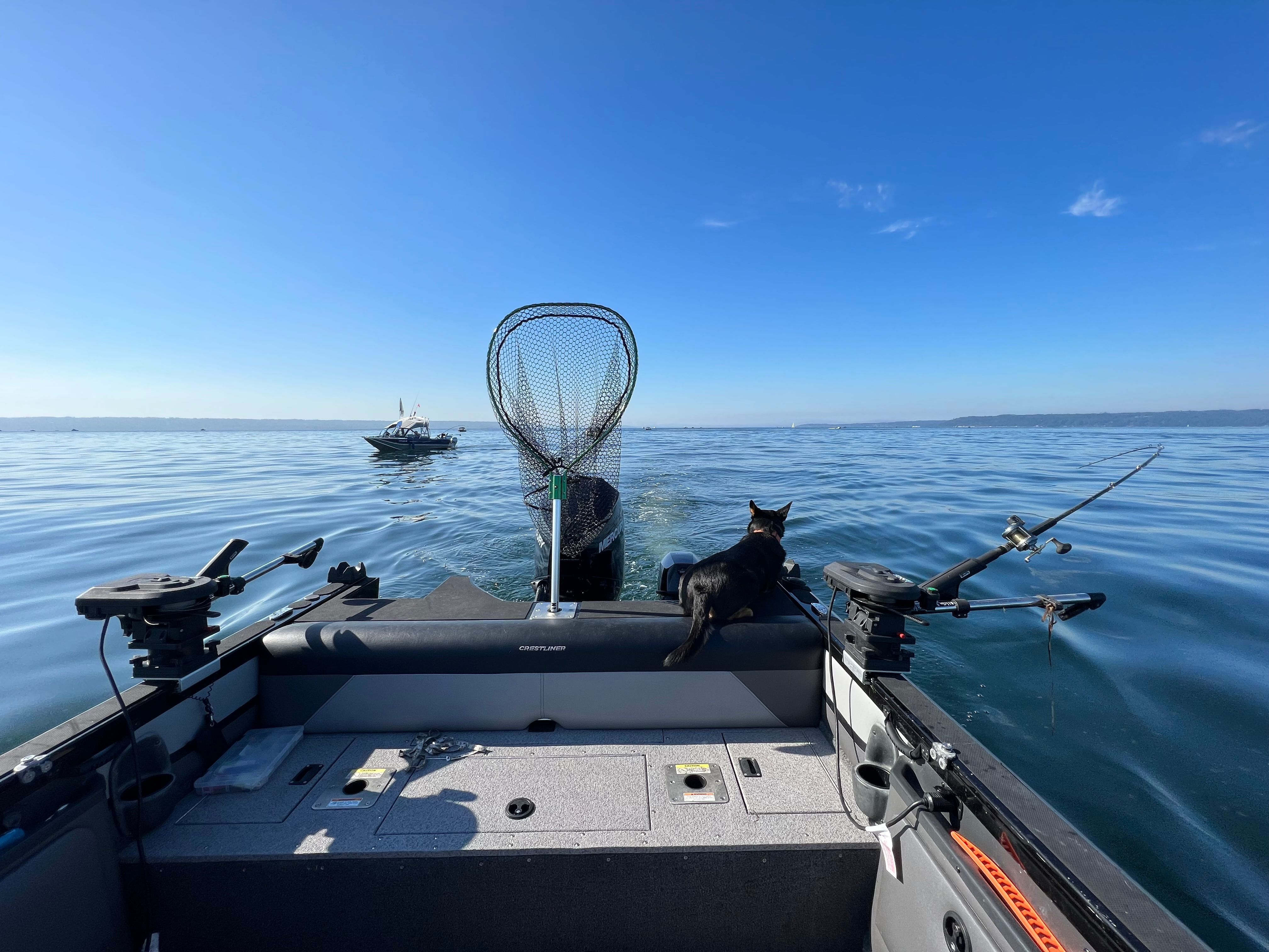 2019 Crestliner 1850 Sportfish OB - 23