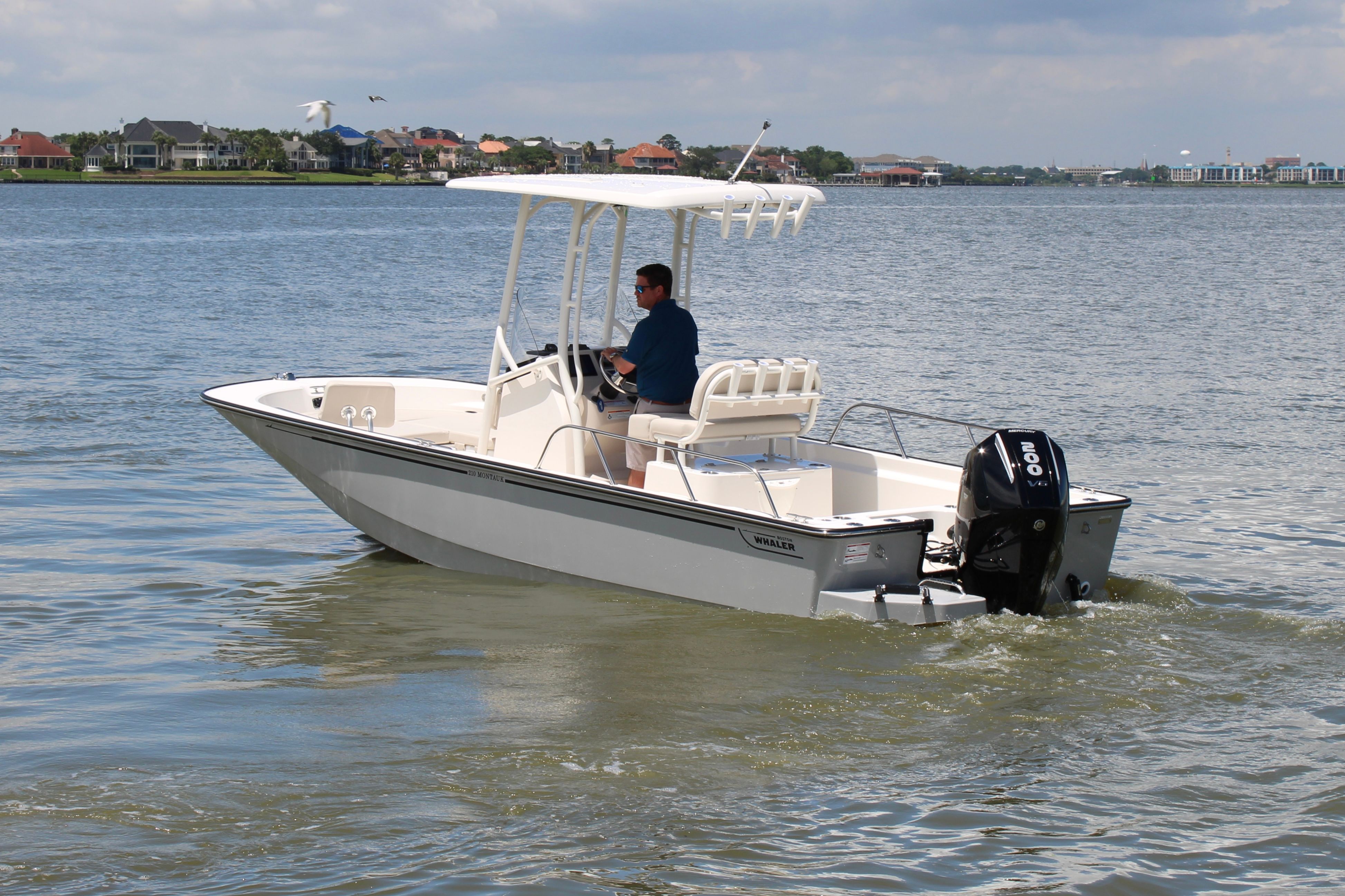 2026 Boston Whaler 210 Montauk - 2