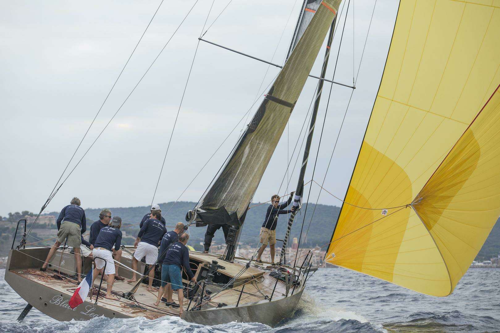 2026 Black Pepper Code 1 - Image 32