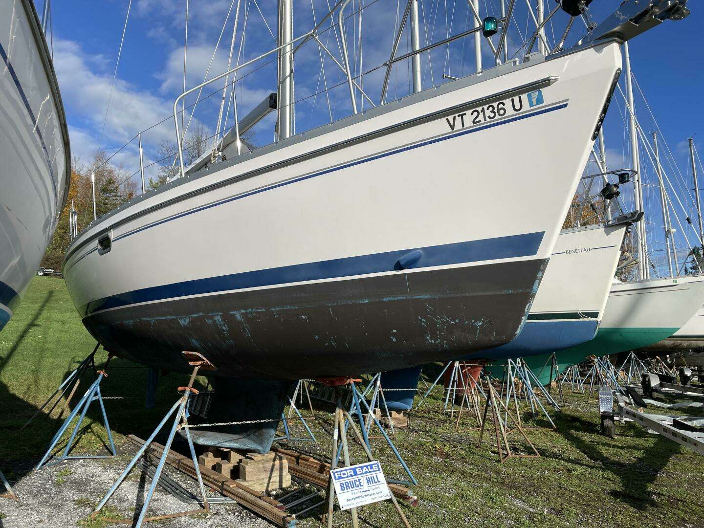 2014 Catalina — - Image 2