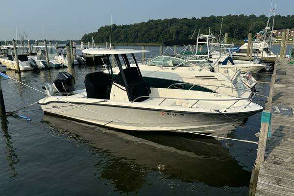 2023 Boston Whaler 250 Dauntless