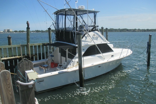 1984 Bertram 35 Convertable