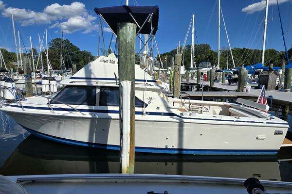 1983 Bertram 28 Flybridge