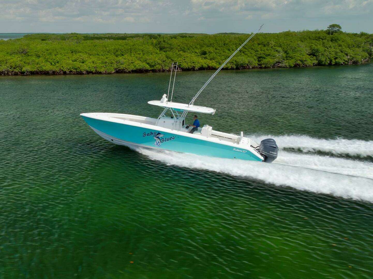 2013 Bahama — - Image 2